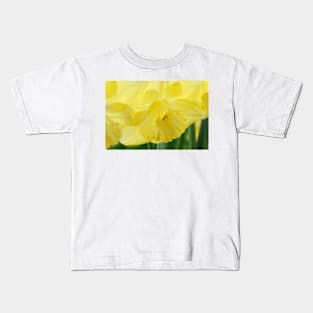 Narcissus  &#39;Avalon&#39;  Daffodil  Division 2 Large-cupped Kids T-Shirt